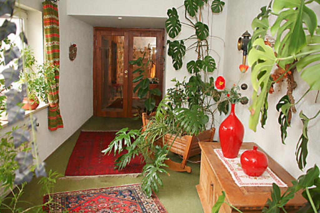 Landgasthof Groh Ulrichstein Buitenkant foto